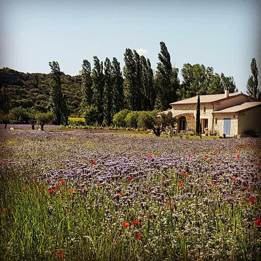 Bed and Breakfast Fontaine De Cerier Castillon-du-Gard Exterior foto